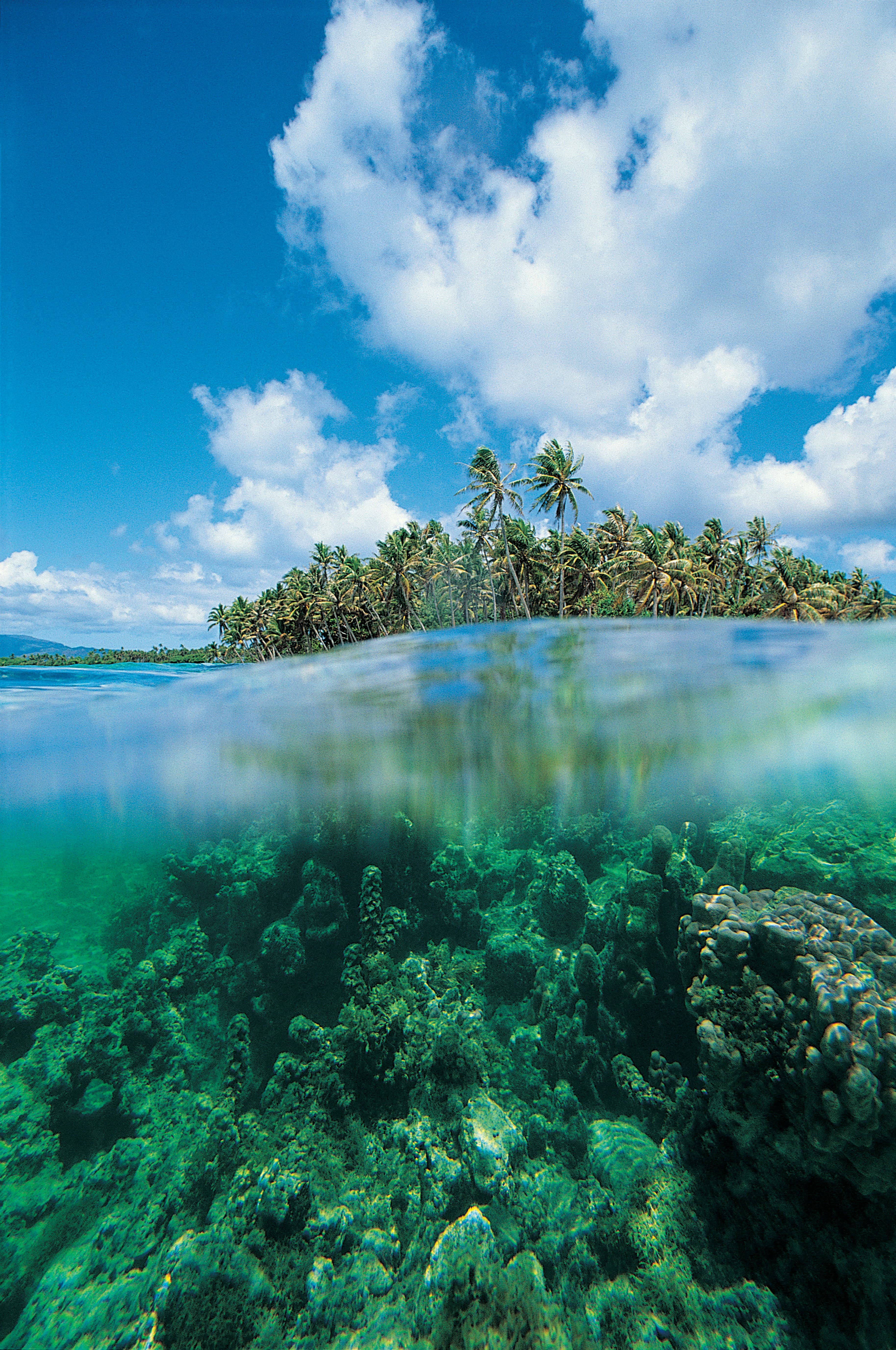 The Barrier Reef