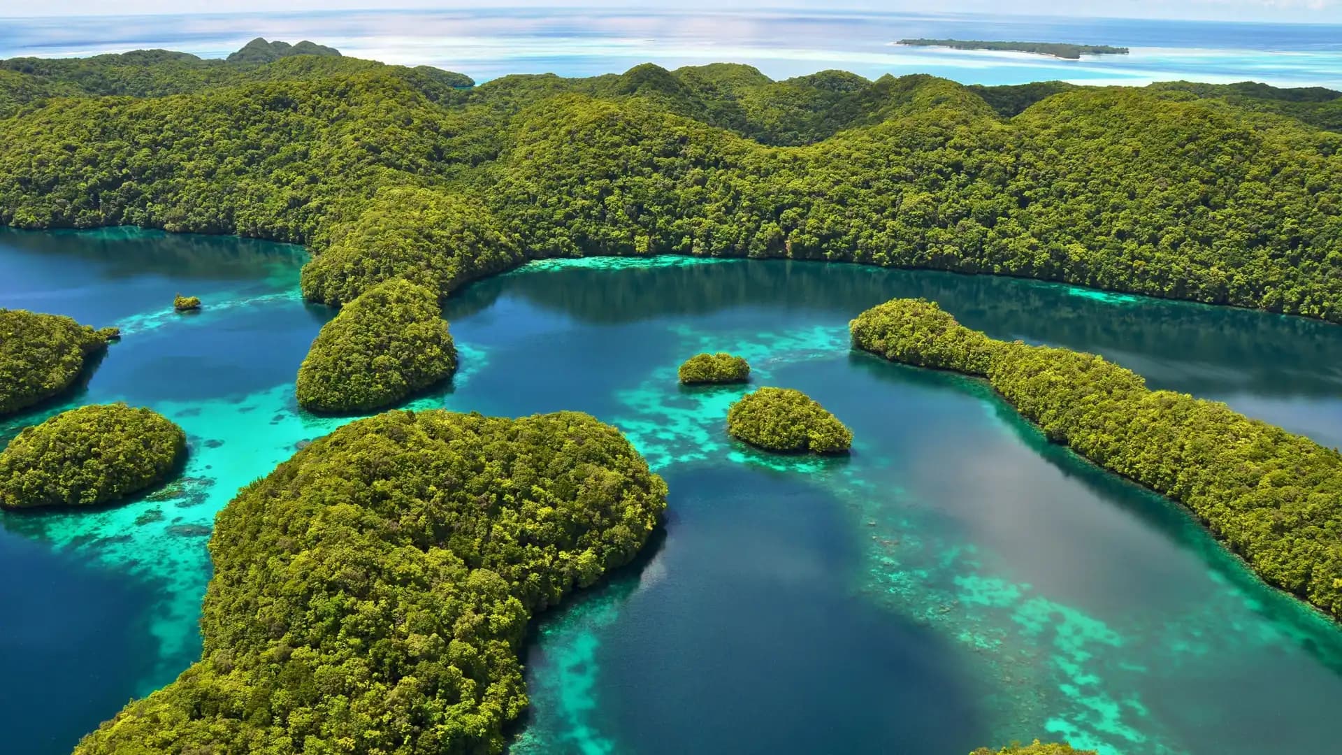 The Great Lagoon