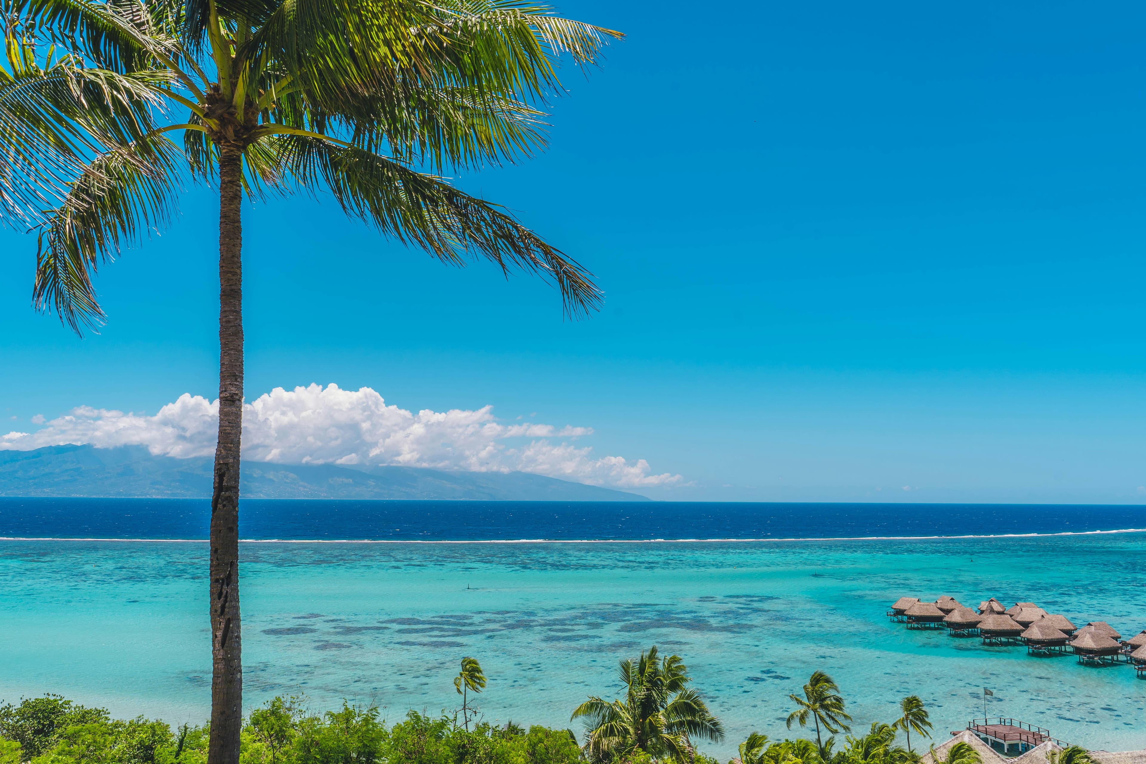 Moorea