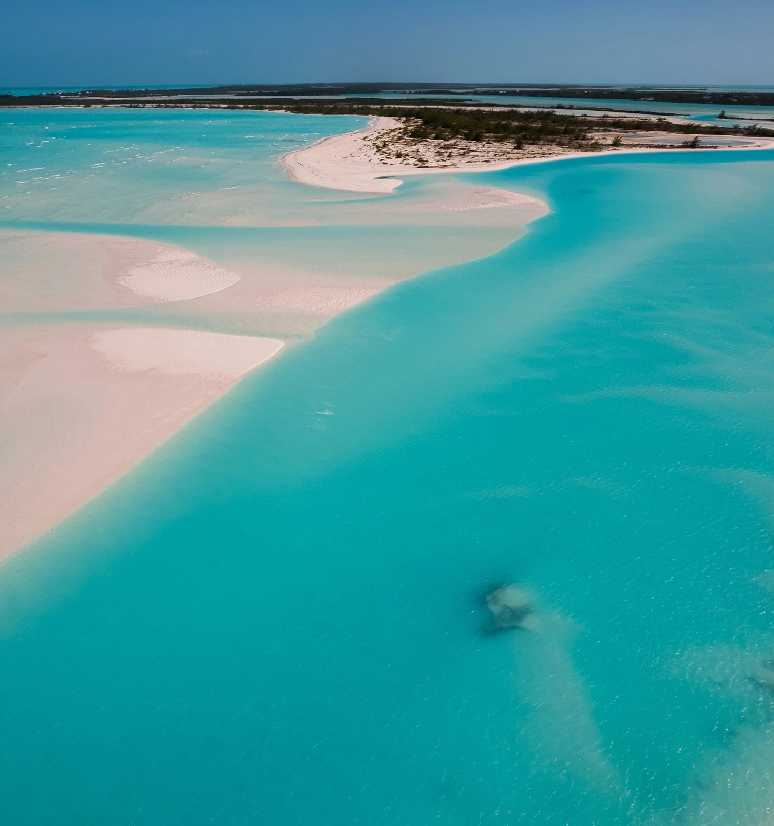 Caribbean