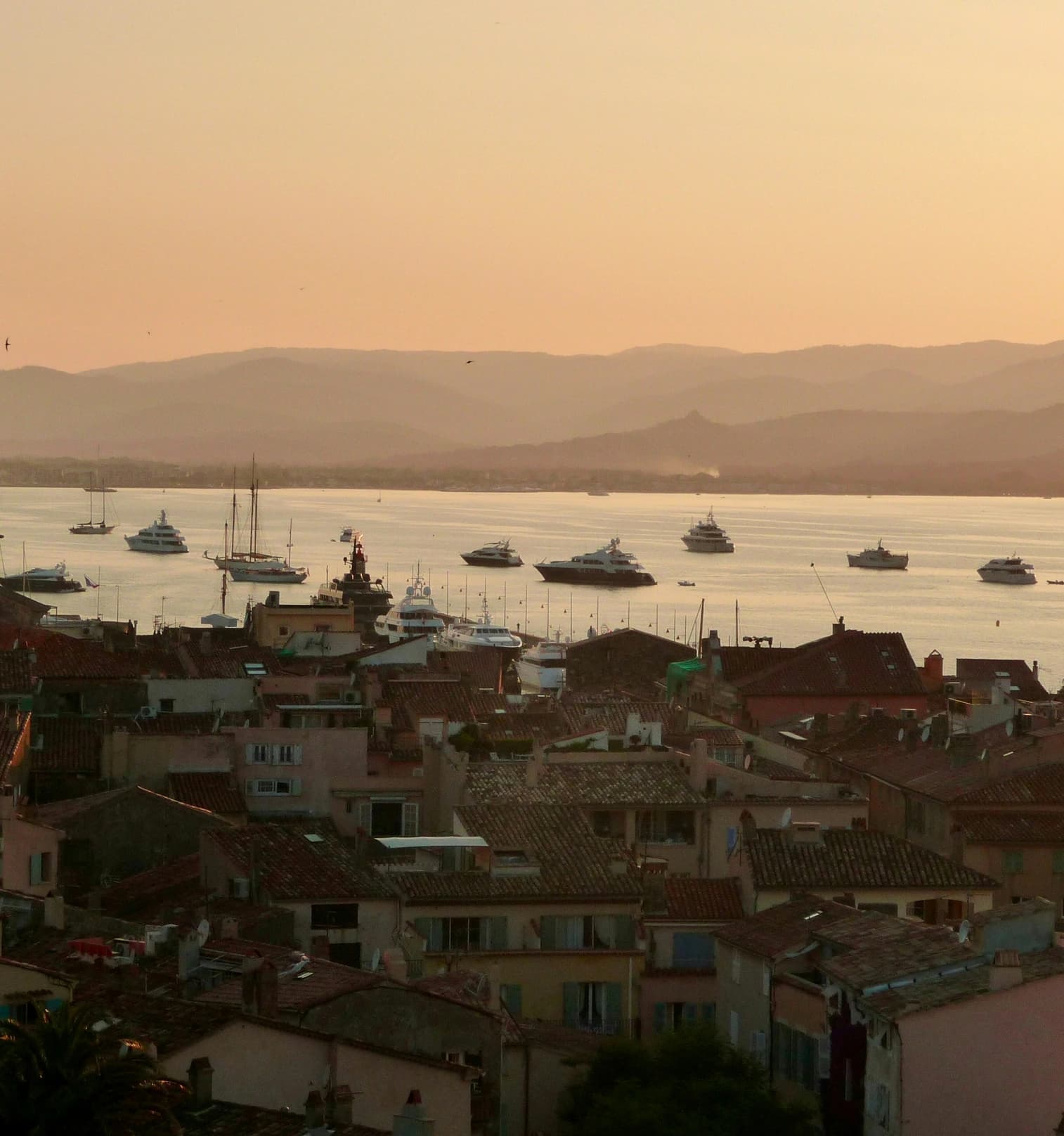 Mediterranean