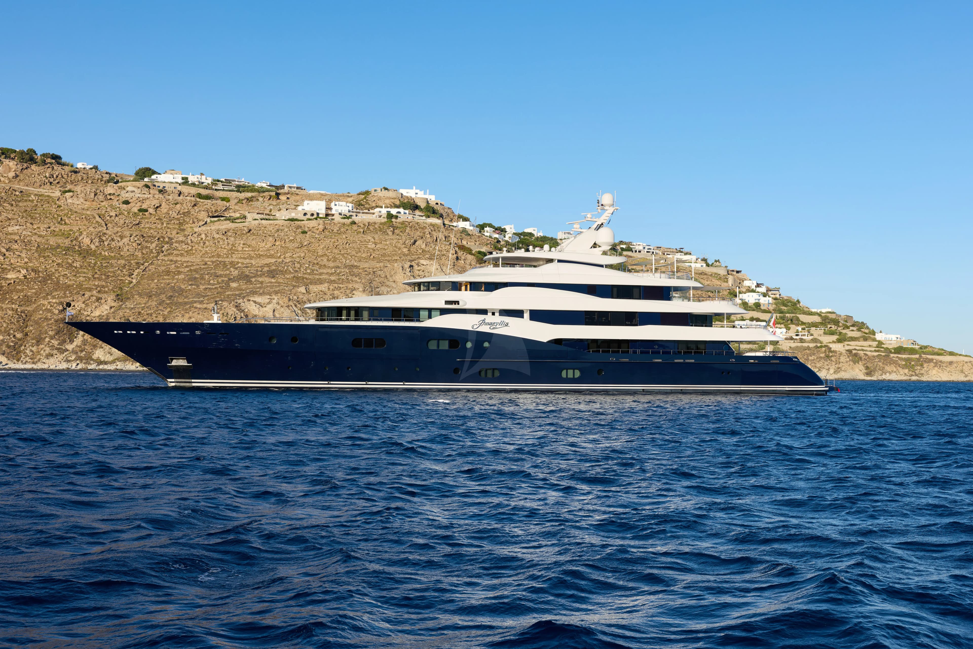 AMARYLLIS